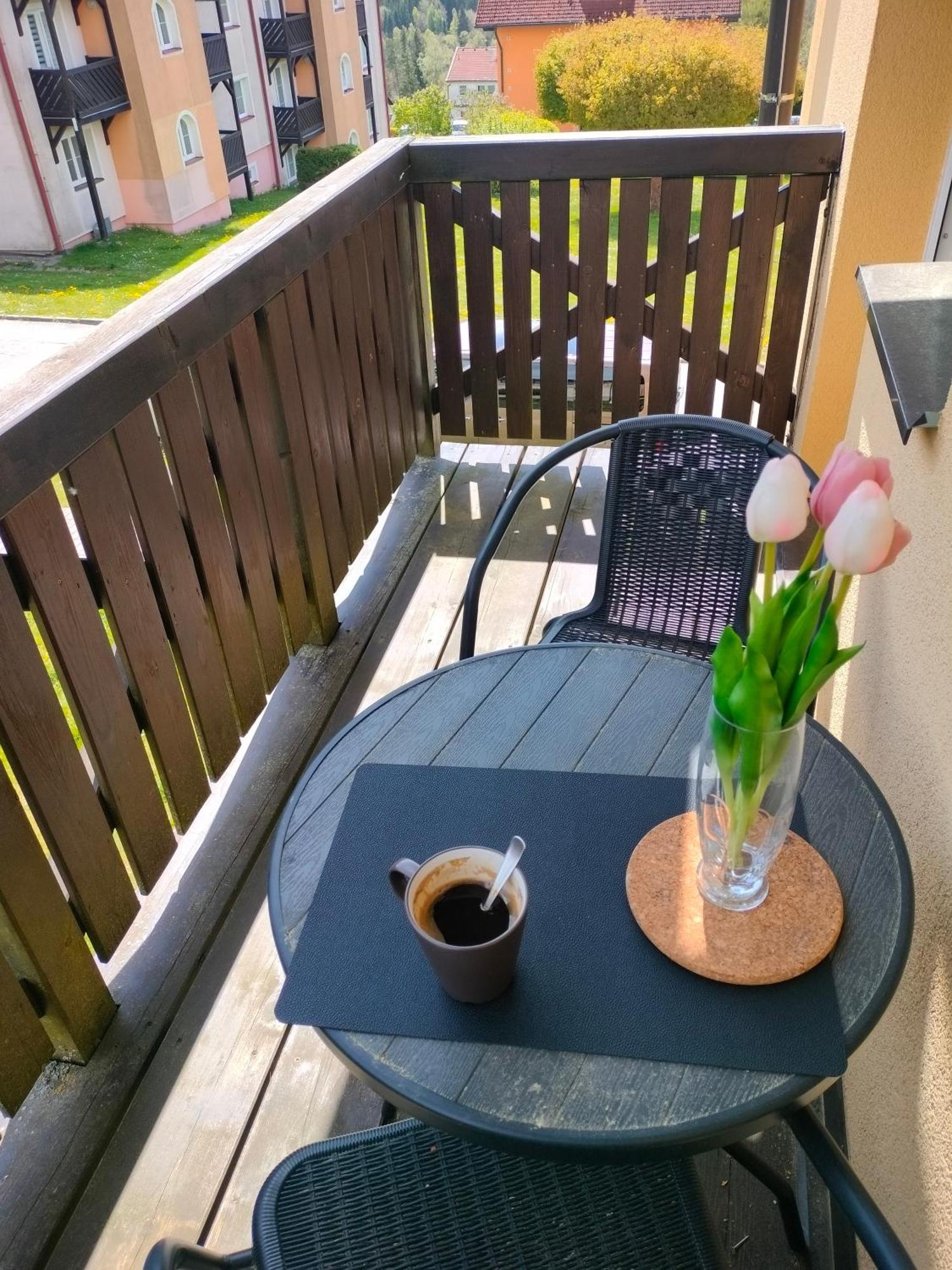 Apartman Aja - Lipno Nad Vltavou Eksteriør bilde